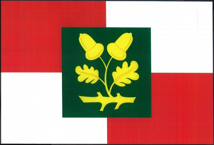 Vlajka