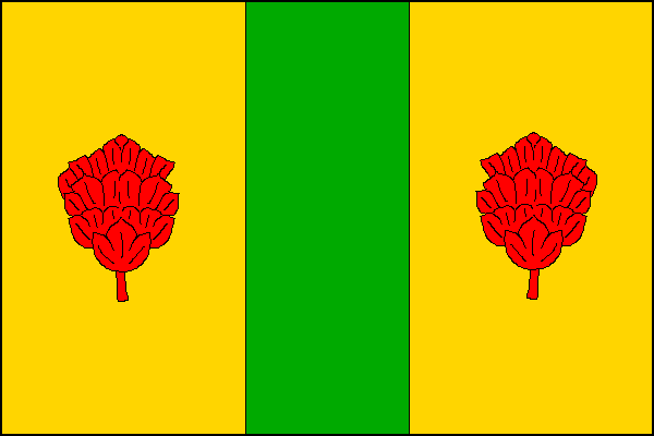 Vlajka