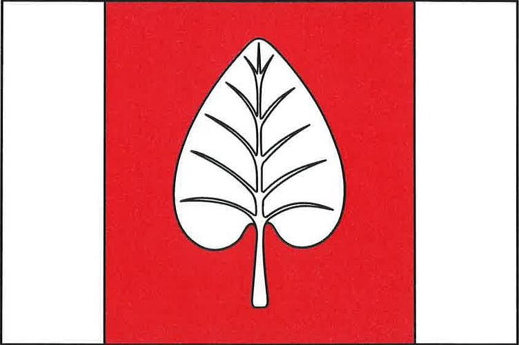 Vlajka