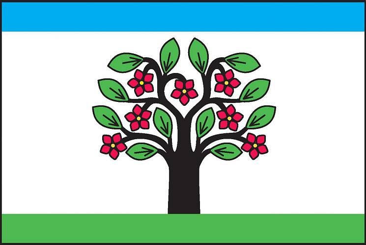 Vlajka