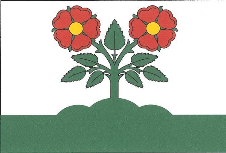 Vlajka