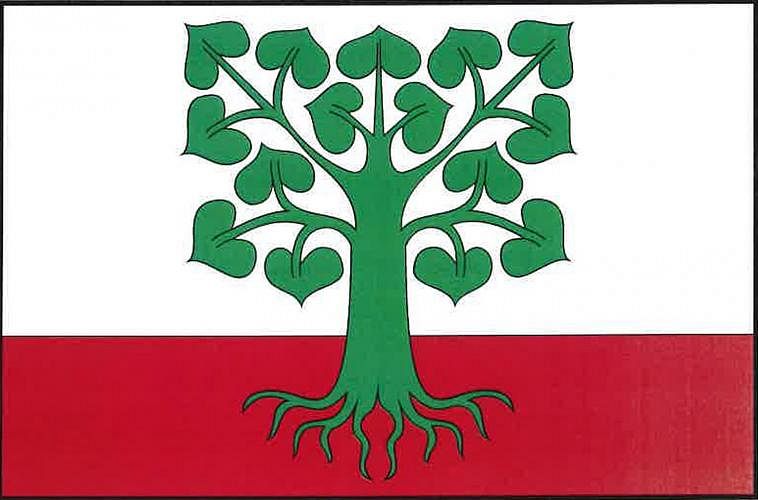 Vlajka