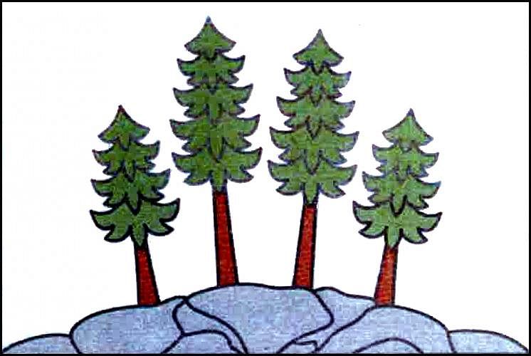Vlajka
