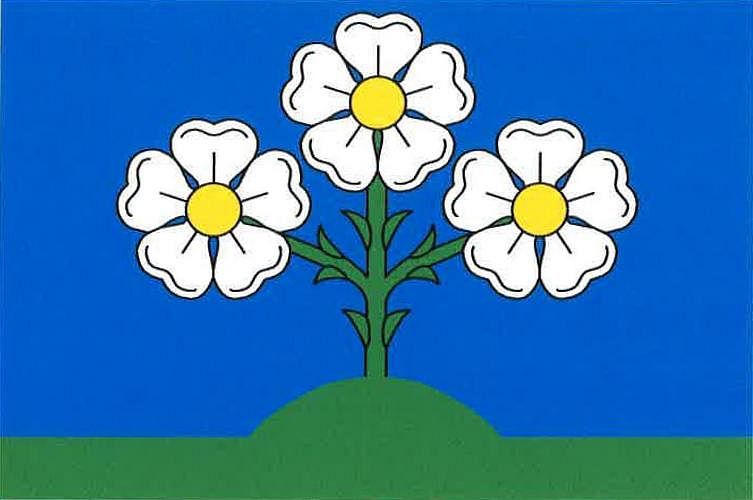 Vlajka