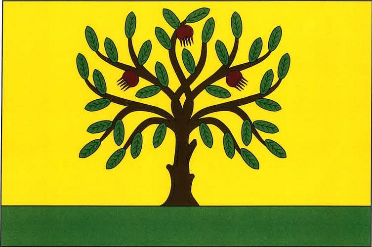 Vlajka