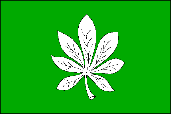 Vlajka
