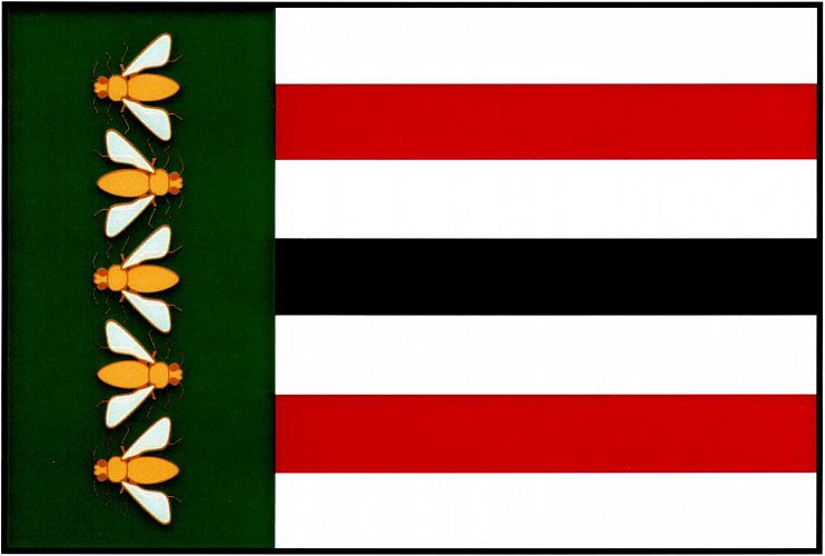 Vlajka