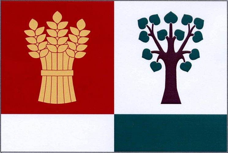 Vlajka
