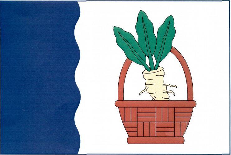 Vlajka