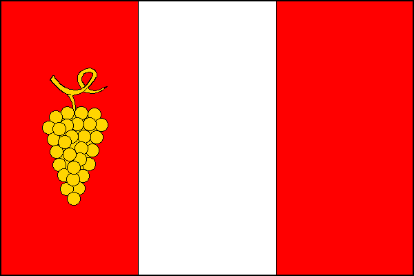 Vlajka