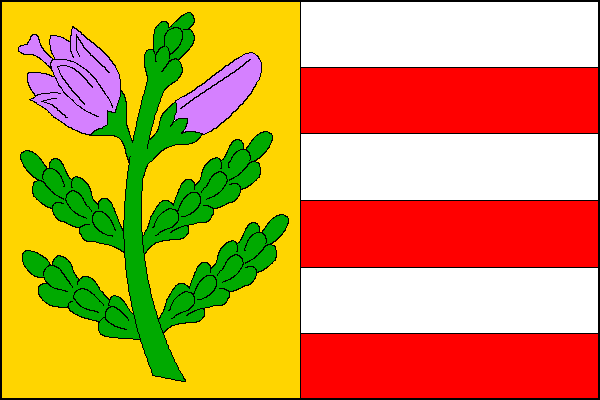 Vlajka