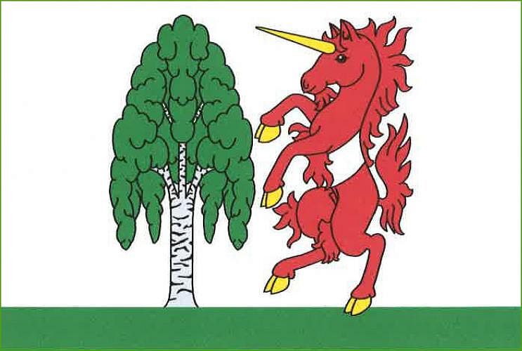 Vlajka